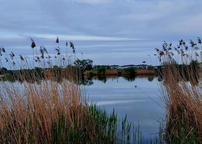 Luxury Modern New With Garden&free Parking,close To Wroclaw Self Check-in 24h Daire *